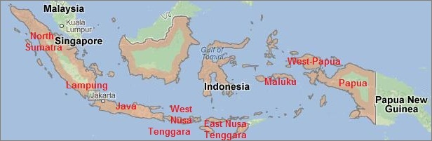 Poverty in Indonesia - Indonesia's Poorest Provinces - Relative and Absolute Poverty in Indonesian Society - Indonesia Investments Delft Jakarta