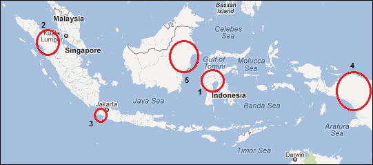 Cocoa Production in Indonesia